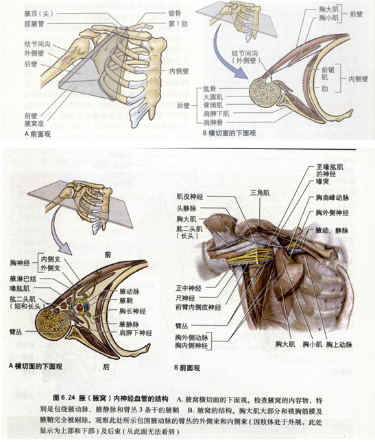 肱二头肌肌腱炎