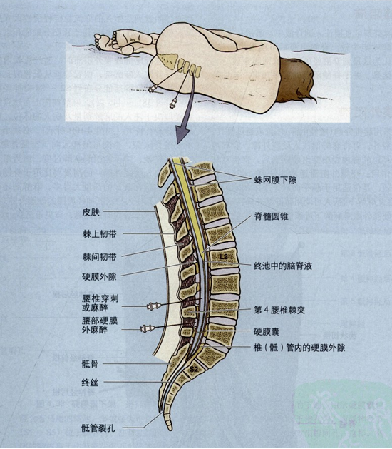 背部临床应用知识二